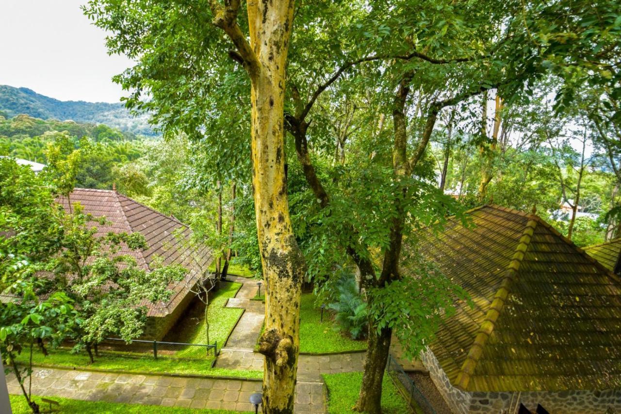 Hotel Treetop Thekkady Buitenkant foto