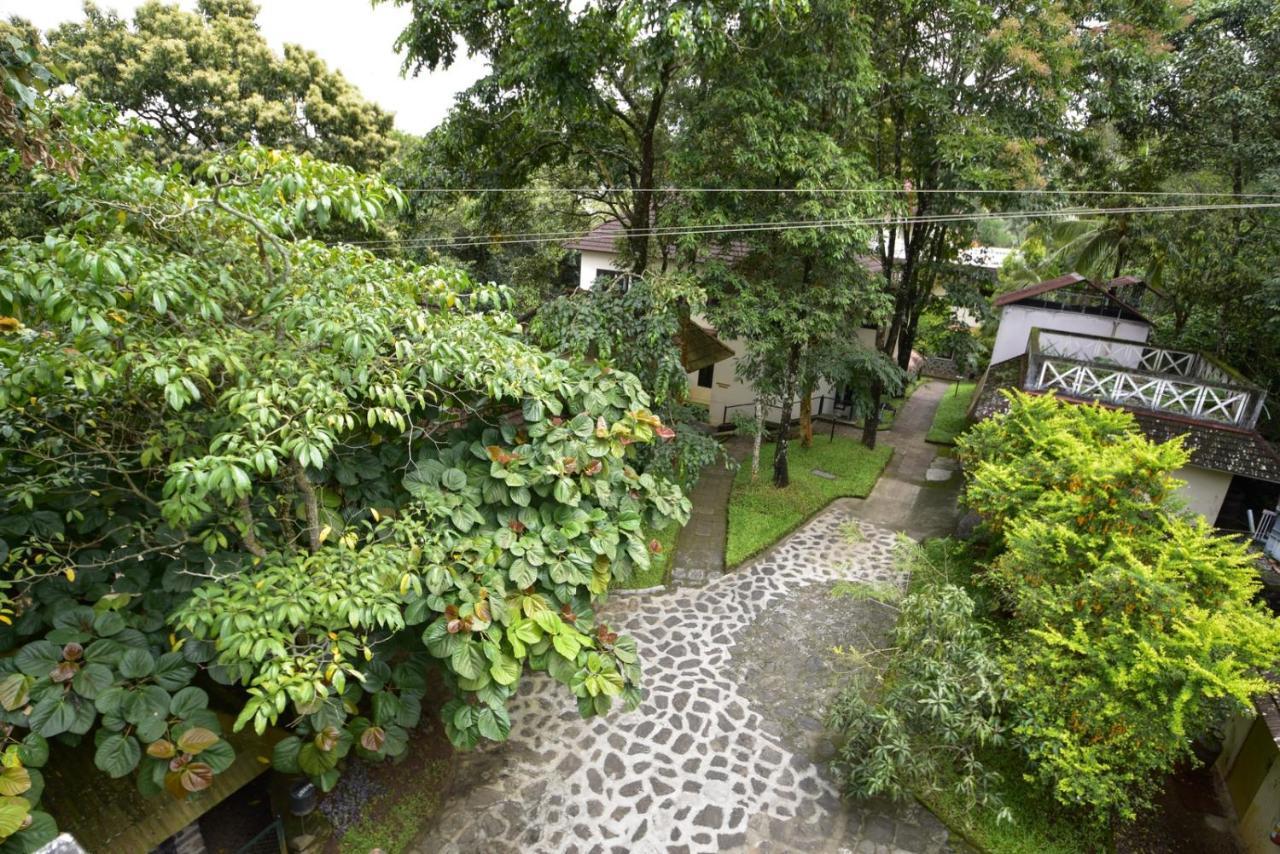 Hotel Treetop Thekkady Buitenkant foto