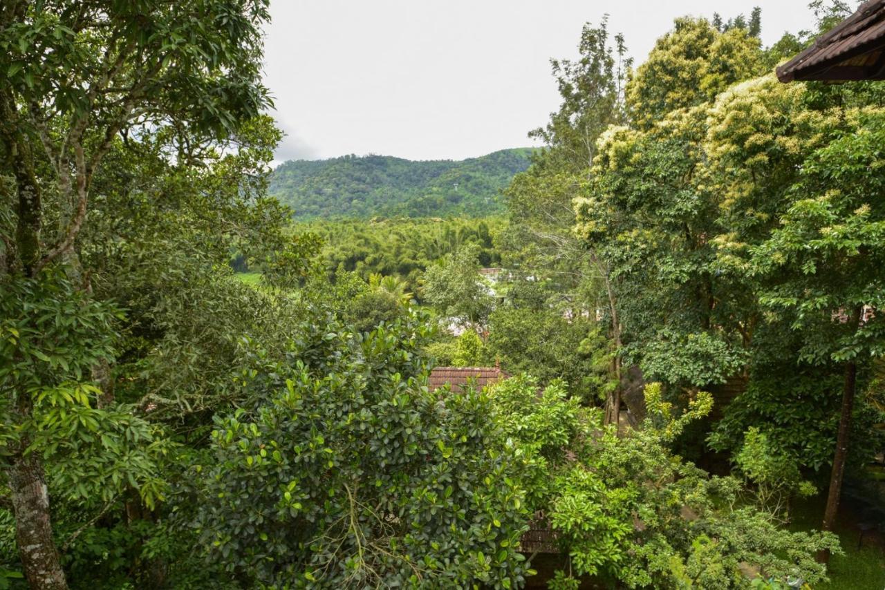 Hotel Treetop Thekkady Buitenkant foto